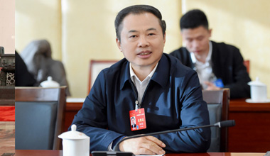 两会季丨围绕区域经济，，，，，，，张天任代表提交这些建议