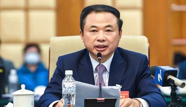 两会季丨围绕新能源工业，，，，，，，张天任代表提交这些建议