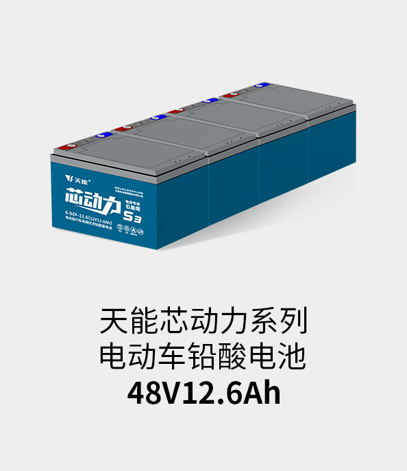 尊凯龙时官网电池48v12ah