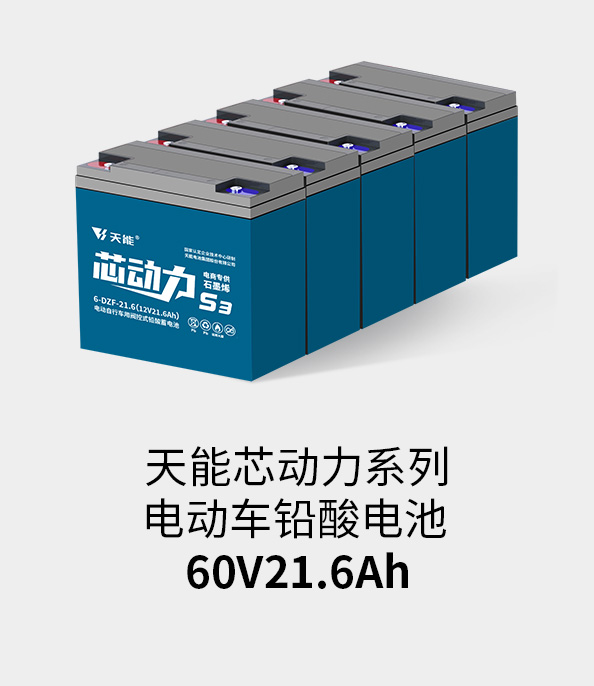 尊凯龙时官网电池60v20ah