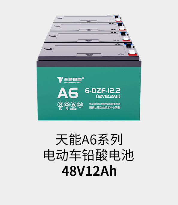 尊凯龙时官网电池48v12ah