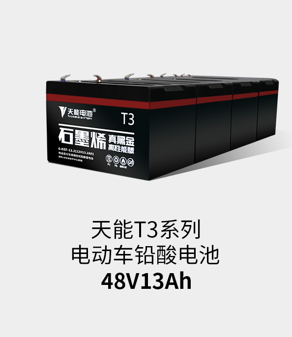 尊凯龙时官网T3系列48v13ah