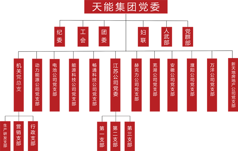 尊凯龙时官网建团党委组织架构
